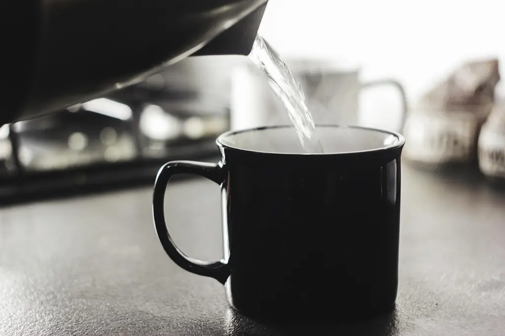 Cosa sapere su Blog su tisane ed erbe